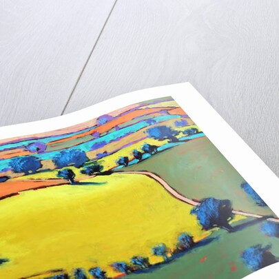 Cotswold Way close up, 2019 by Paul Powis