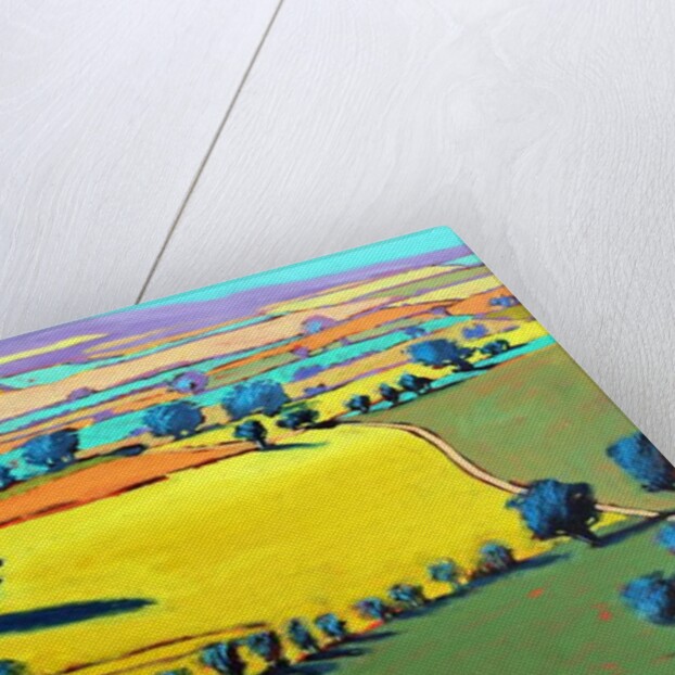 Cotswold Way, 2019 by Paul Powis