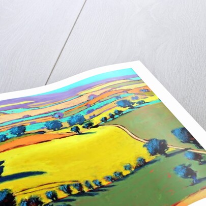 Cotswold Way, 2019 by Paul Powis