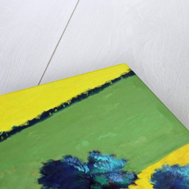 Whiteleaved oak close up 9, 2019 by Paul Powis