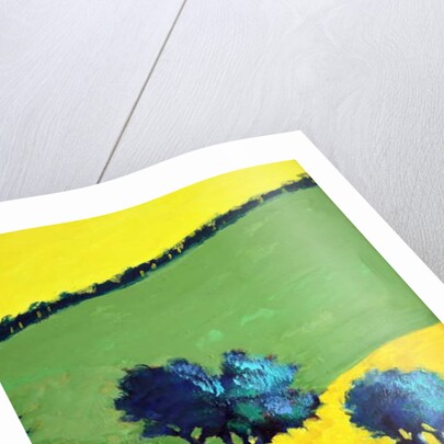 Whiteleaved oak close up 9, 2019 by Paul Powis