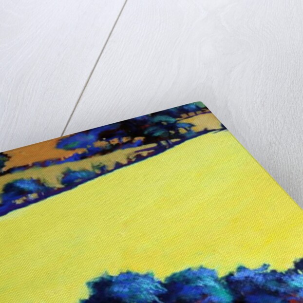 Whiteleaved oak close up 8, 2019 by Paul Powis