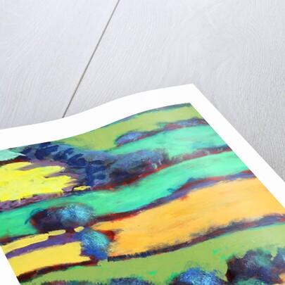 Whiteleaved oak close up 7, 2019 by Paul Powis