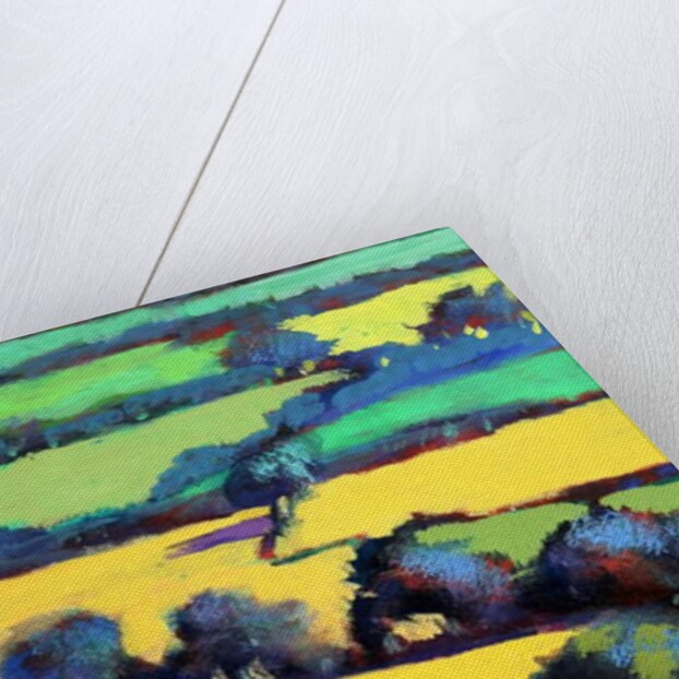 Whiteleaved oak close up 6, 2019 by Paul Powis