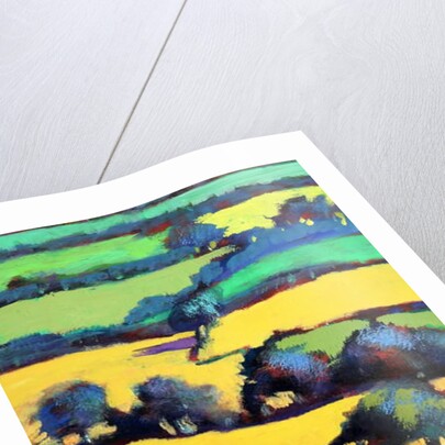 Whiteleaved oak close up 6, 2019 by Paul Powis