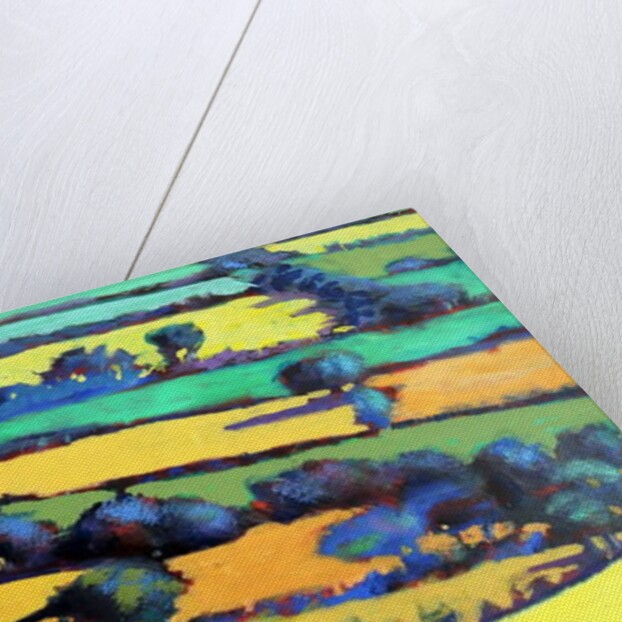 Whiteleaved oak close up 4, 2019 by Paul Powis