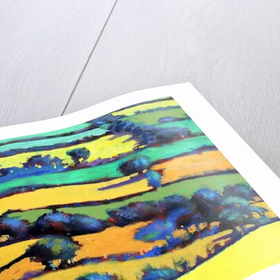 Whiteleaved oak close up 4, 2019 by Paul Powis