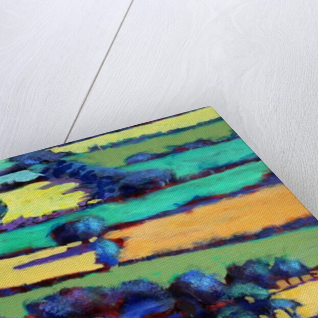 Whiteleaved oak close up 2, 2019 by Paul Powis