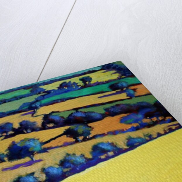 Whiteleaved oak close up 1, 2019 by Paul Powis