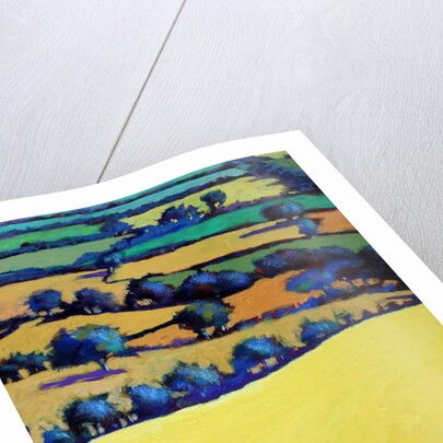 Whiteleaved oak close up 1, 2019 by Paul Powis