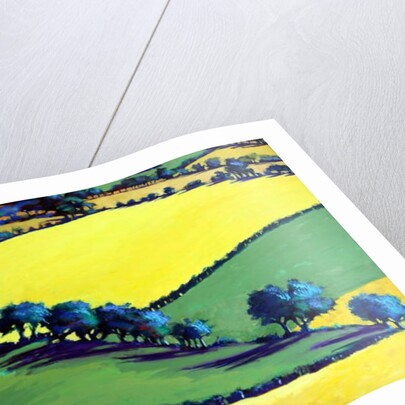 Whiteleaved oak close up, 2019 by Paul Powis