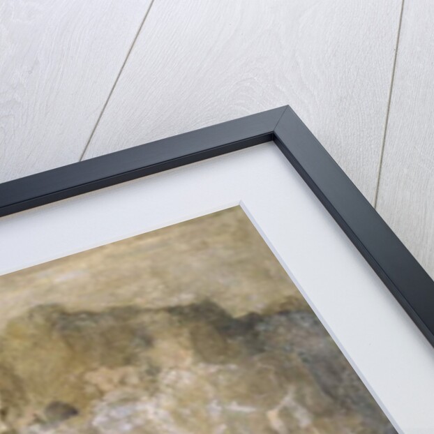 Detail from Stories of St Catherine and St Mary Magdalene by Polidoro da Caravaggio