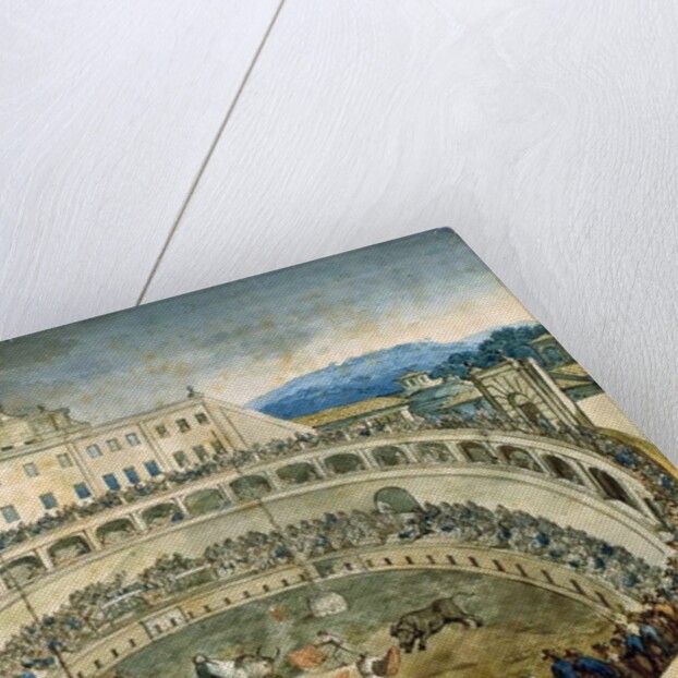 Bullfight by Bartolomeo Pinelli