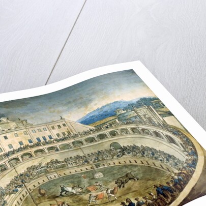 Bullfight by Bartolomeo Pinelli