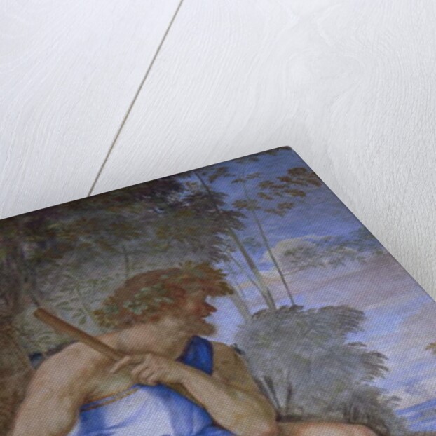 Polyphemus, 1512 by Sebastiano del Piombo