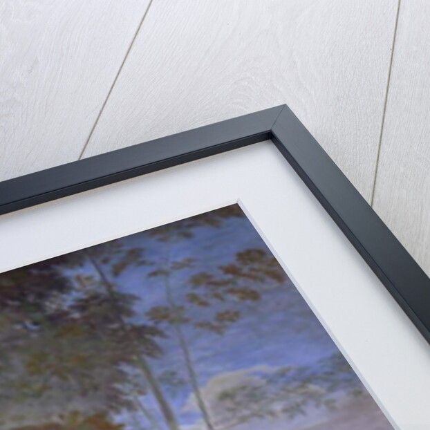 Polyphemus, 1512 by Sebastiano del Piombo