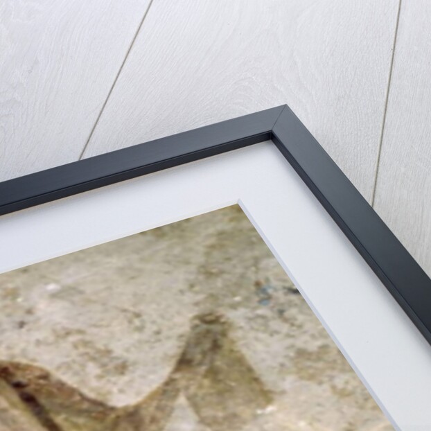 Fresco in the Cimitero Maggiore by Paleo-Christian Paleo-Christian