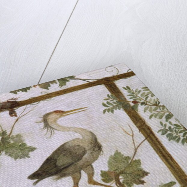 Ibis, from a Fresco of an Aviary in the Villa Medici, c.1576-77 by Jacopo Zucchi