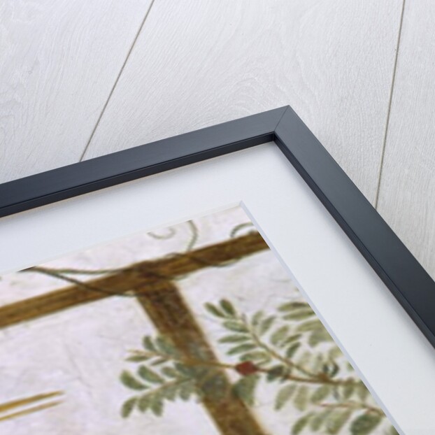 Ibis, from a Fresco of an Aviary in the Villa Medici, c.1576-77 by Jacopo Zucchi