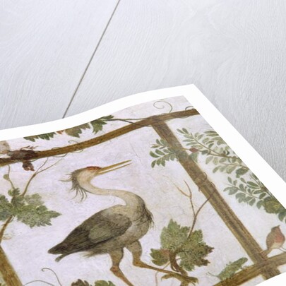 Ibis, from a Fresco of an Aviary in the Villa Medici, c.1576-77 by Jacopo Zucchi