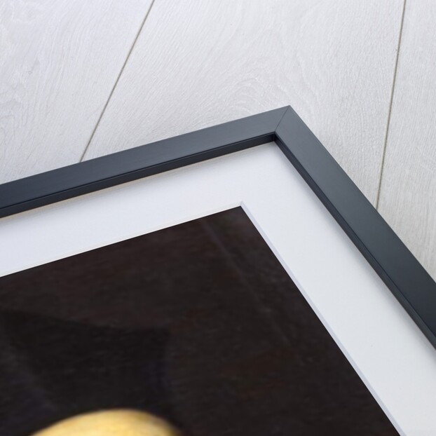 Portrait of Alexander VII aged 29, 1660 by Italian School