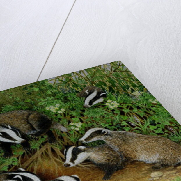 Setting Out by Pat Scott