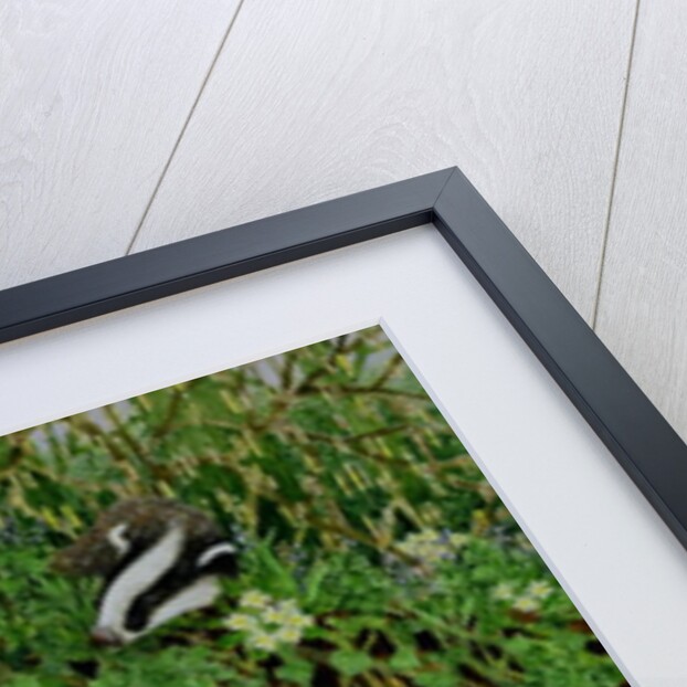 Setting Out by Pat Scott