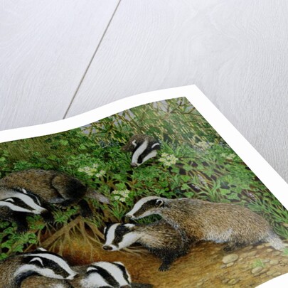 Setting Out by Pat Scott