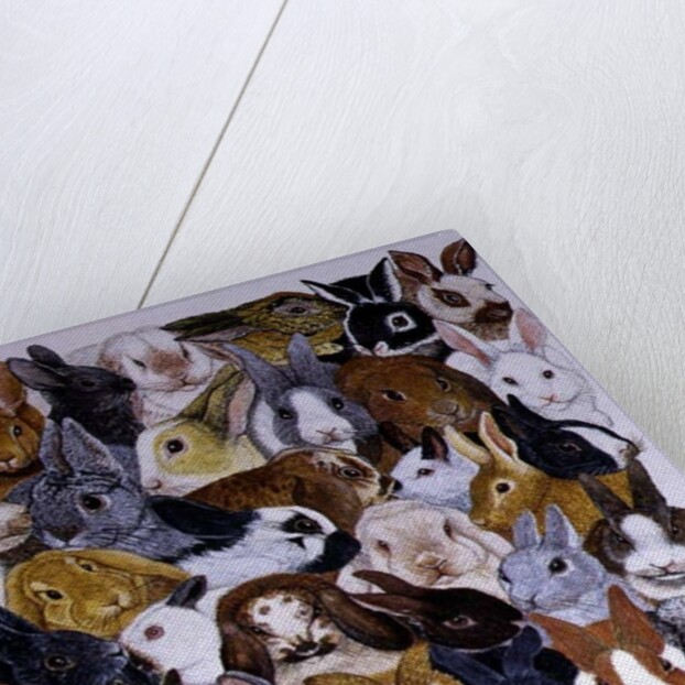 Bright Eyes by Pat Scott