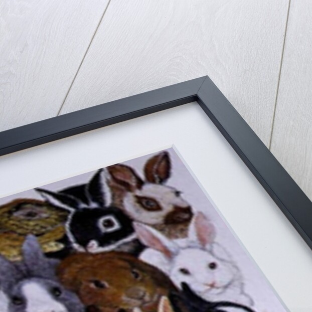 Bright Eyes by Pat Scott