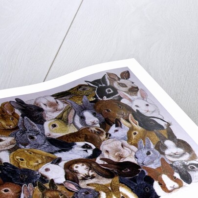 Bright Eyes by Pat Scott