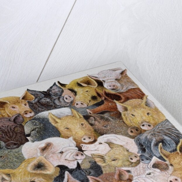 Pigs Galore by Pat Scott