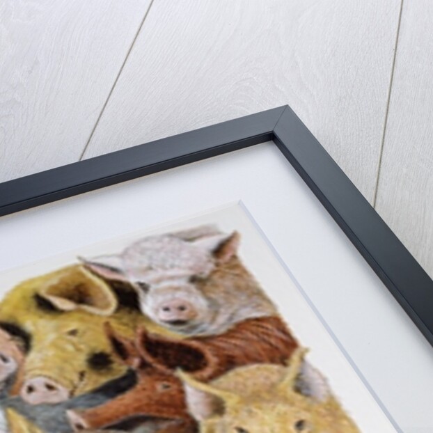 Pigs Galore by Pat Scott