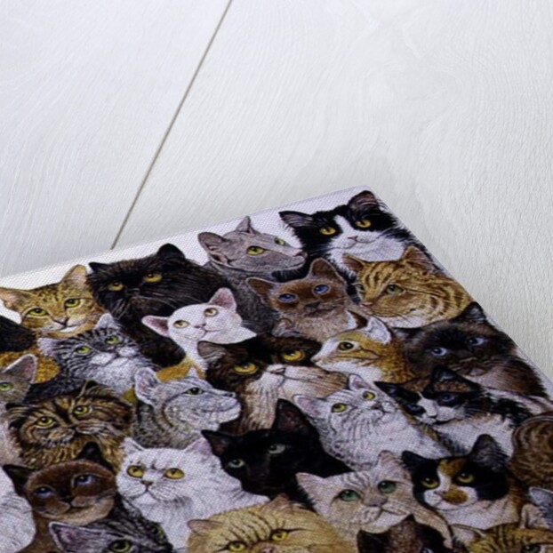 Just the Cat's Whisker by Pat Scott