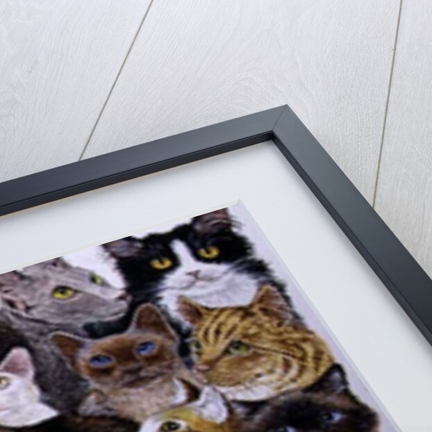 Just the Cat's Whisker by Pat Scott