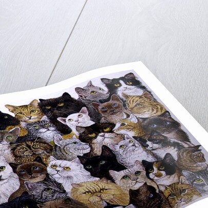 Just the Cat's Whisker by Pat Scott