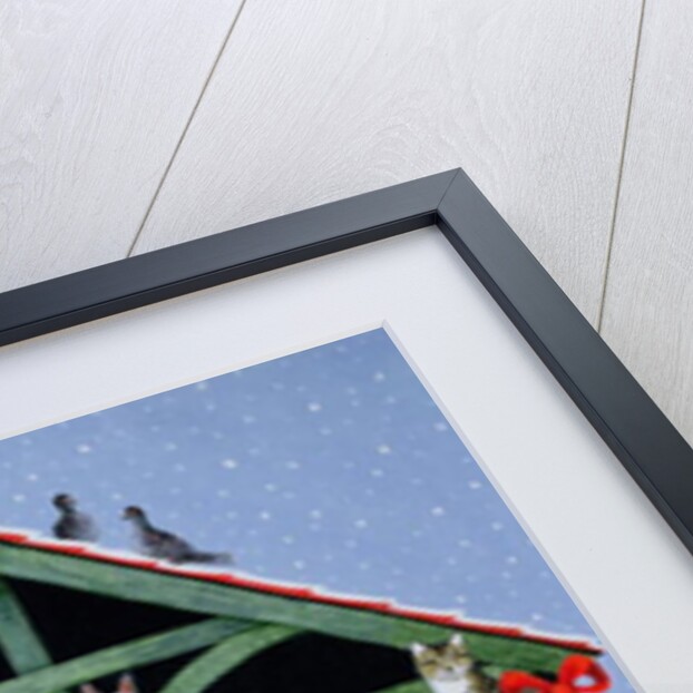 Protected by Pat Scott