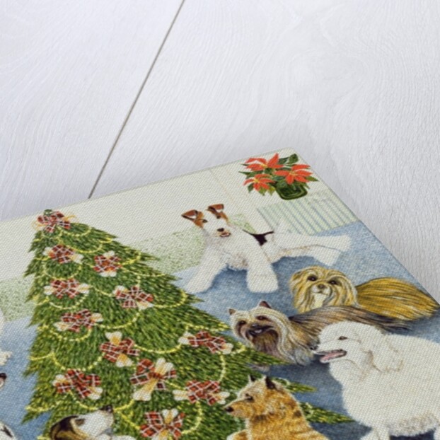 Anticipation by Pat Scott