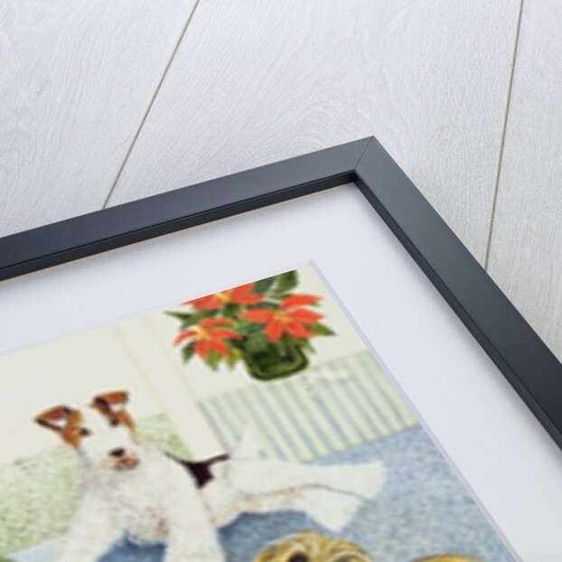 Anticipation by Pat Scott