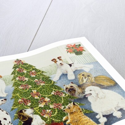 Anticipation by Pat Scott