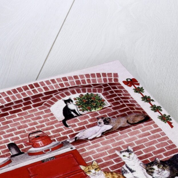 A Warm Place by Pat Scott