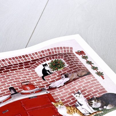 A Warm Place by Pat Scott