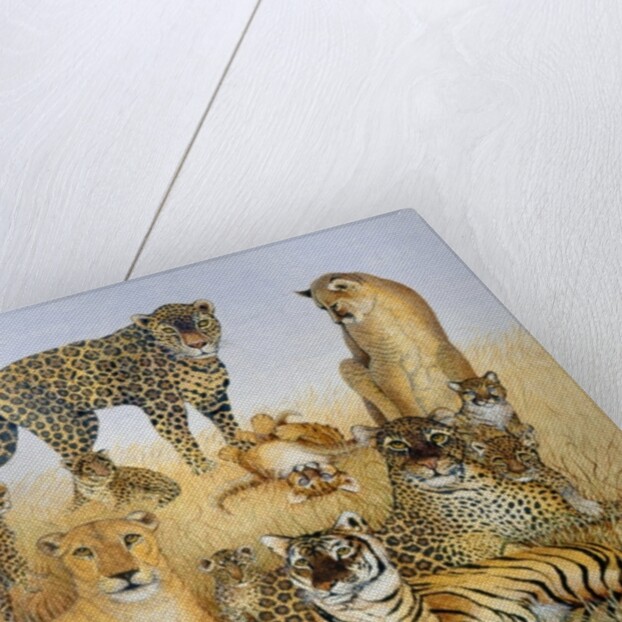 The Big Cats by Pat Scott