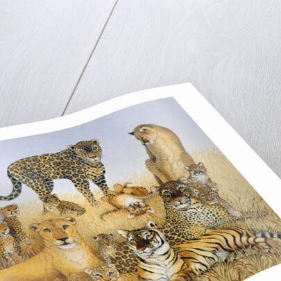 The Big Cats by Pat Scott