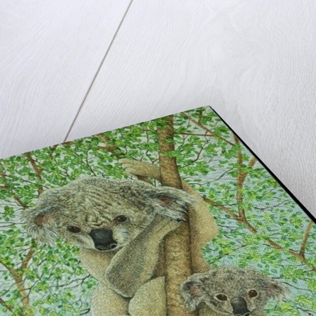 Top of the tree by Pat Scott