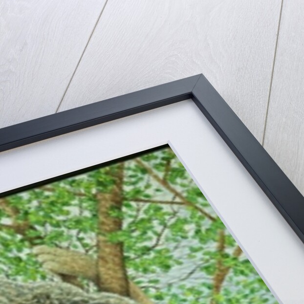 Top of the tree by Pat Scott