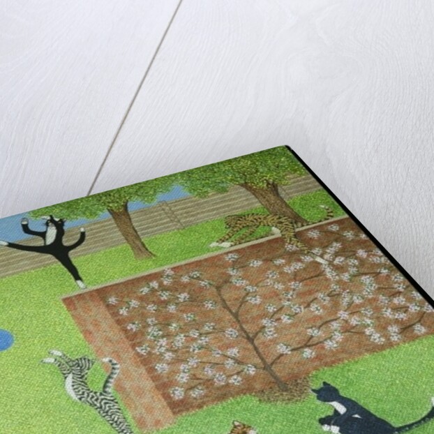 Keeping on ones toes by Pat Scott