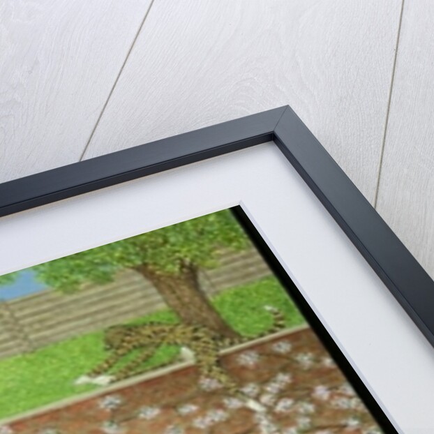 Keeping on ones toes by Pat Scott