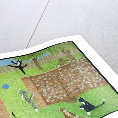 Keeping on ones toes by Pat Scott