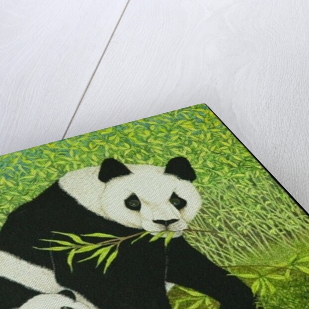 The good times by Pat Scott